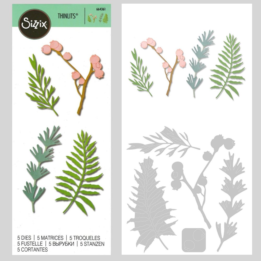 Sizzix Thinlits Natural Leaves 5 Pc Die Set - Charming and Trendy Ltd