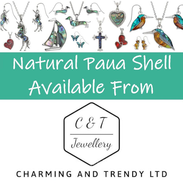 Horse Paua Abalone Shell Stud Earrings - Charming and Trendy Ltd
